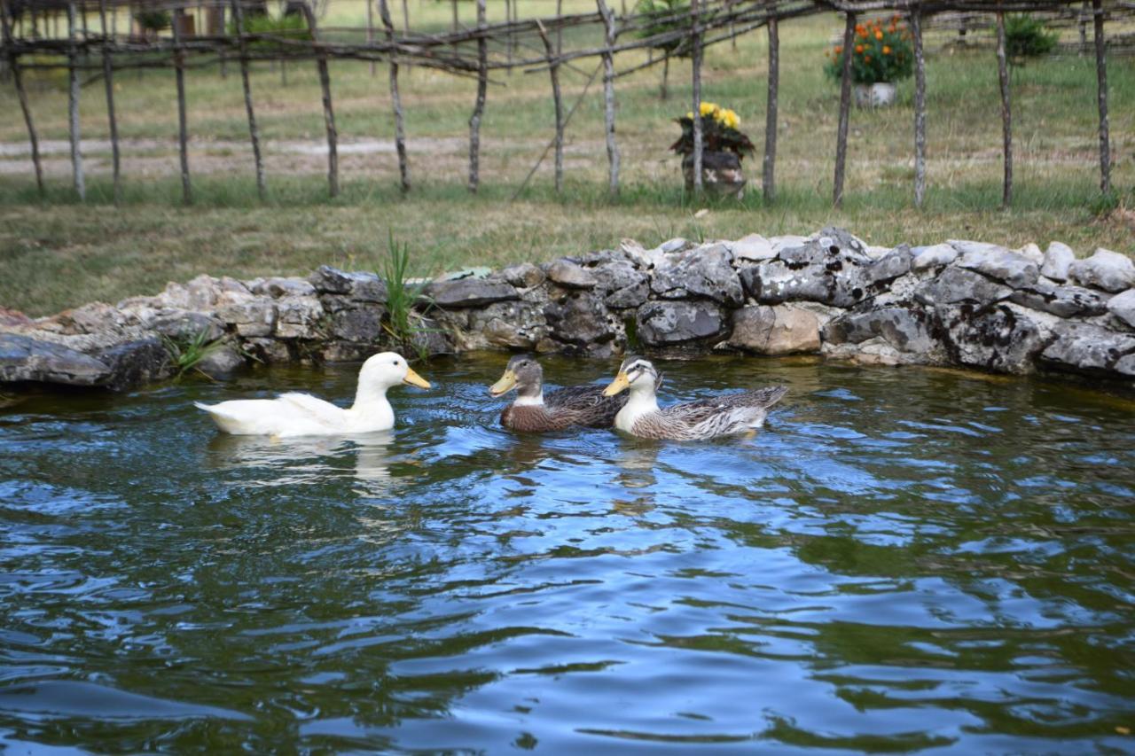 Etno Selo Dodig Villa Drvar Esterno foto